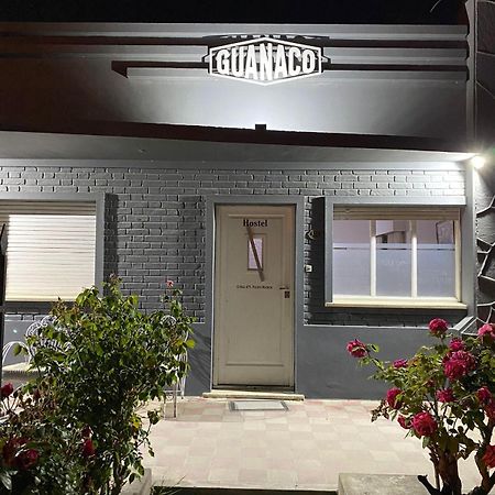 Guanaco Hostel Puerto Madryn Kültér fotó