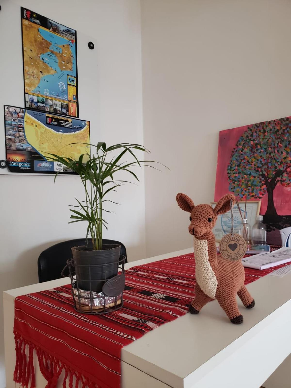 Guanaco Hostel Puerto Madryn Kültér fotó
